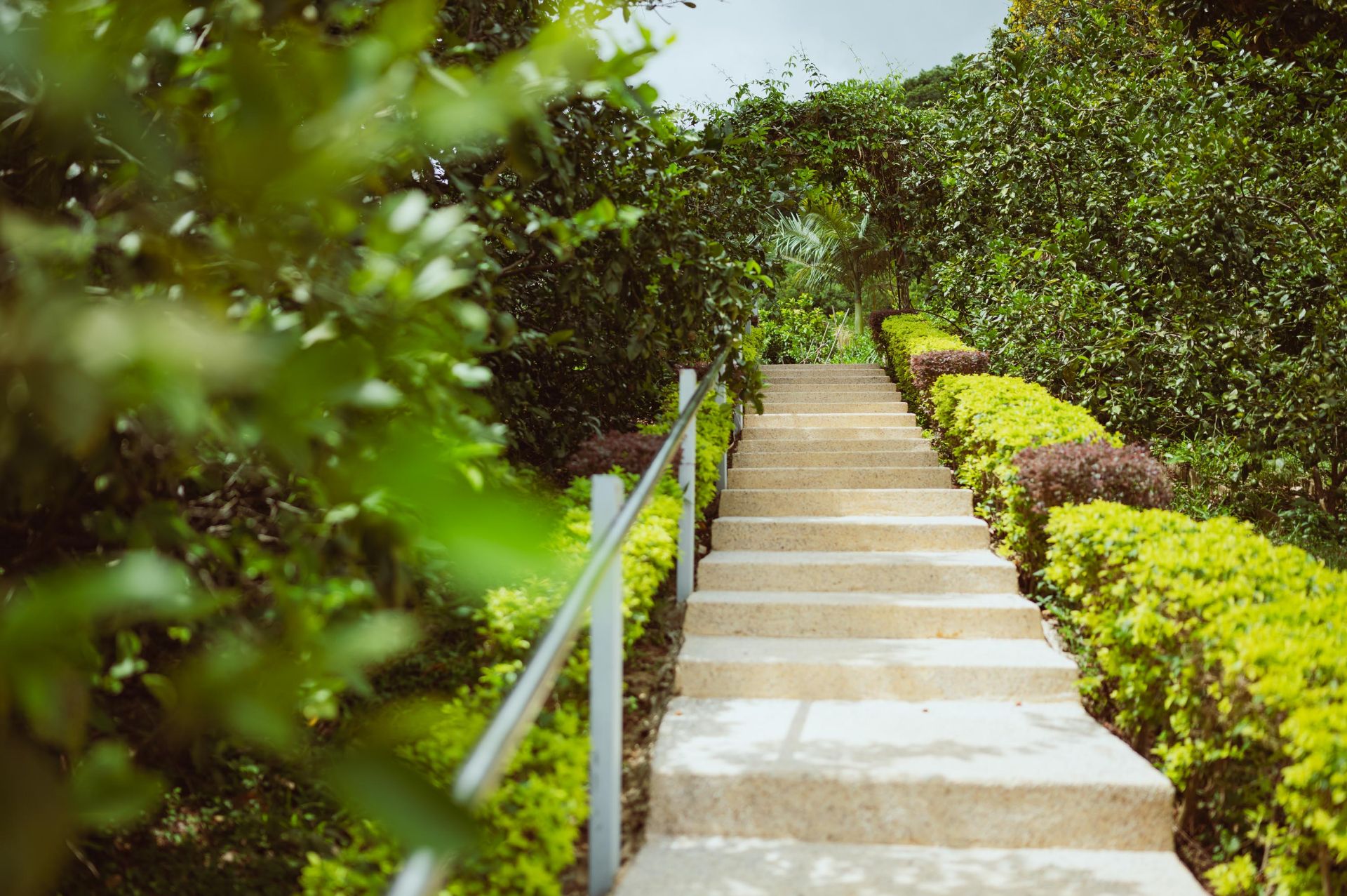 Stairs in a garden